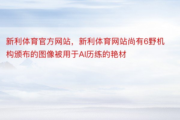 新利体育官方网站，新利体育网站尚有6野机构颁布的图像被用于AI历练的艳材